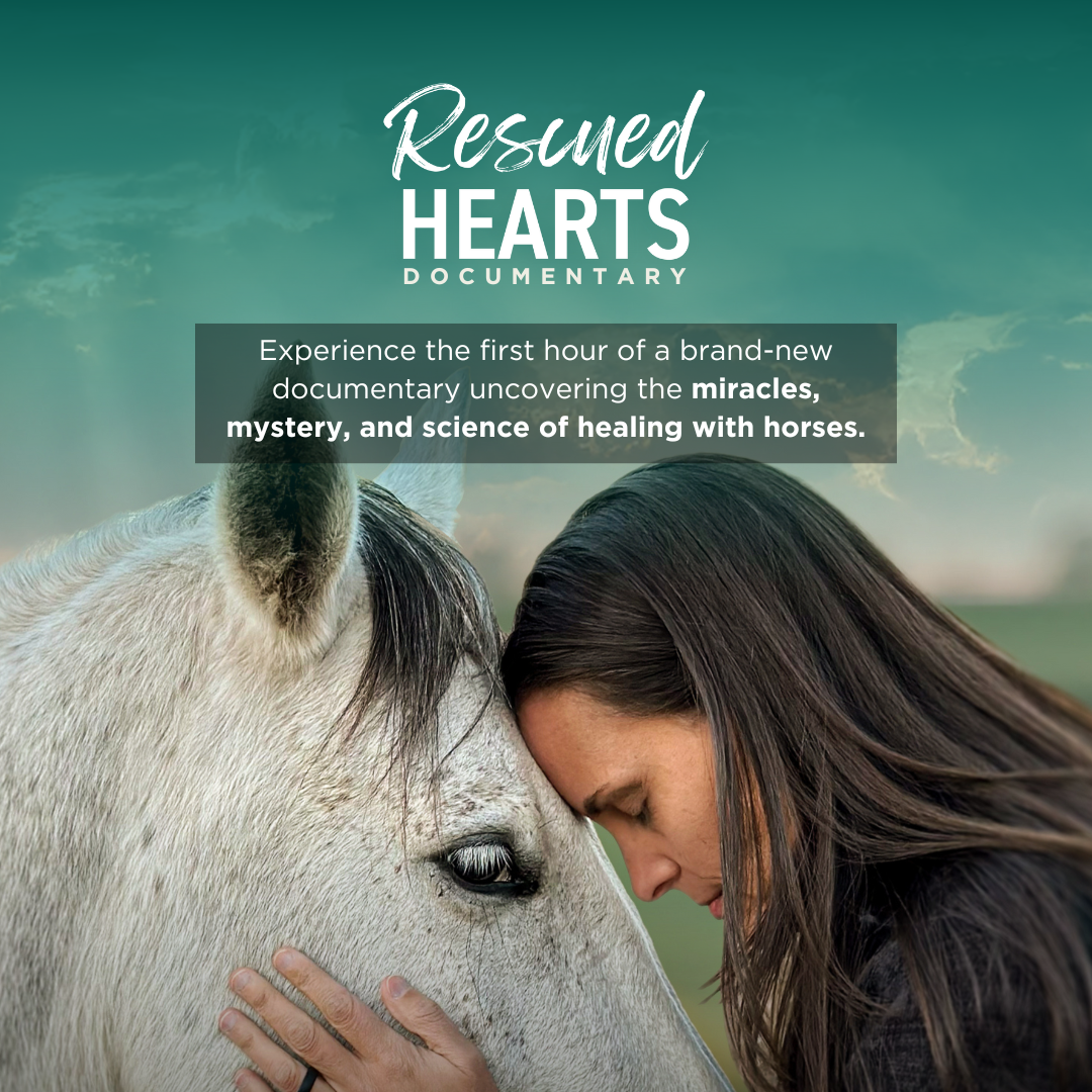 Rescued Hearts Film: Special Screening + Conversation with the Film Makers - logo